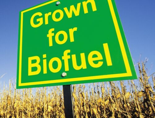 Ethanol: Understanding Renewable Fuel Options